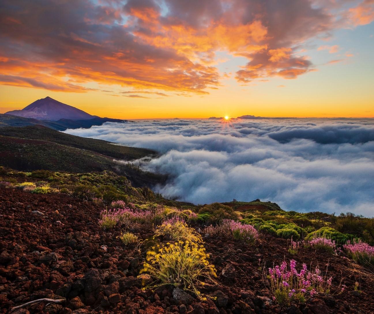 Discovering El Teide in Tenerife: A Complete Guide for Travelers